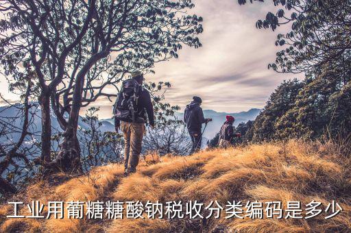 稅收分類編碼選擇錯(cuò)誤的是什么，家用墻壁開關(guān)在稅收分類編碼里屬于哪類