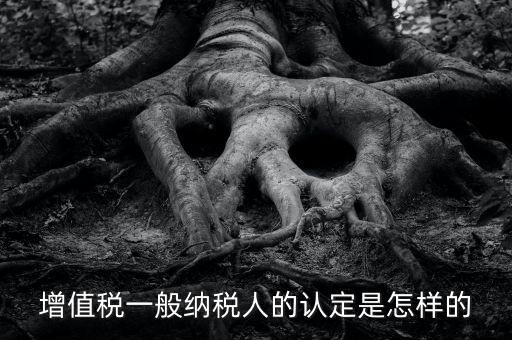 一般納稅人認(rèn)證是什么，一般納稅人資格證什么