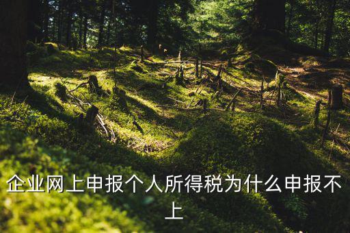 為什么稅務申報不了了，為什么申報不上