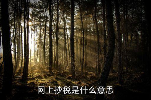 什么是網(wǎng)上抄報稅，抄稅和報稅是什么意思 應(yīng)該怎么做呢