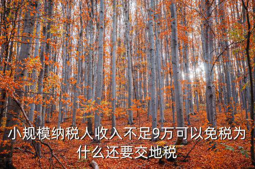為什么納地稅，為什么要規(guī)定納稅地點(diǎn)