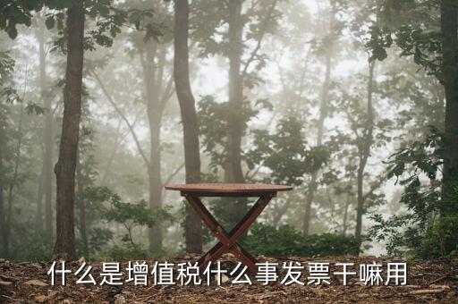什么是增值稅銷項(xiàng)發(fā)票嗎，什么是增值稅什么事發(fā)票干嘛用