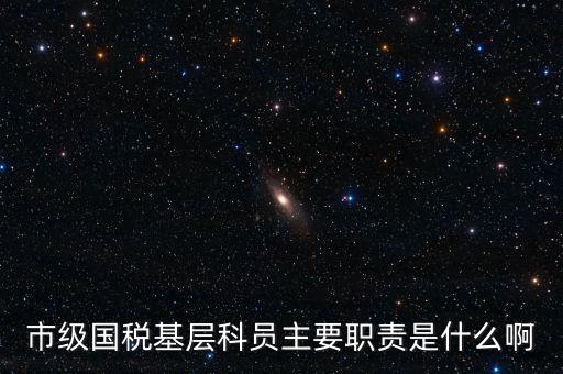 基層國(guó)稅辦公室做什么，請(qǐng)問國(guó)稅局基層分局科員縣域主要負(fù)責(zé)什么工作