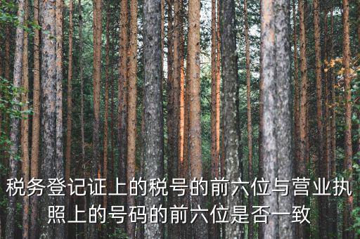 稅號前六位代表什么，納稅識別號前六位數(shù)為140111是什么意思