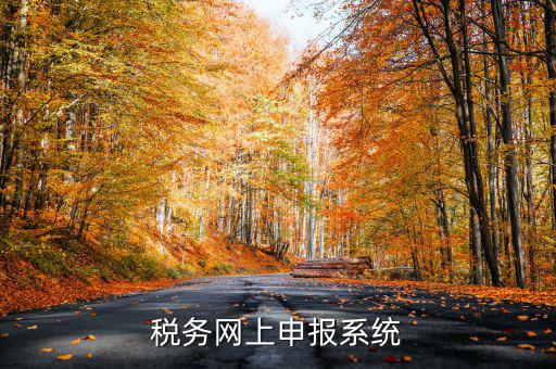 什么是稅收網(wǎng)報(bào)軟件，稅務(wù)網(wǎng)上申報(bào)系統(tǒng)