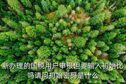 初始申報密碼是什么，小關(guān)稅務(wù)所 新企業(yè) 網(wǎng)上納稅申報初始密碼是什么