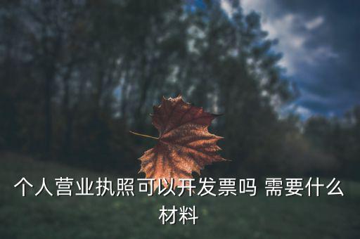 個體打印發(fā)票需要什么，個人購物開增值稅普通發(fā)票需要什么資料
