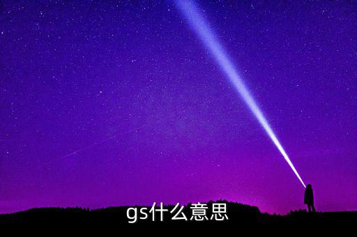 什么是gs系統(tǒng)，gs什么意思