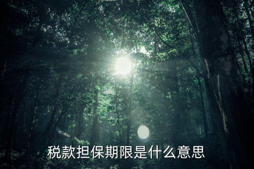 納稅擔保人什么意思，稅款擔保期限是什么意思