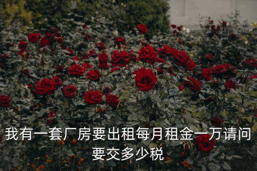 個人租廠房要交什么稅，我有一套廠房要出租每月租金一萬請問要交多少稅