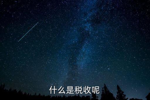 什么是稅收呢