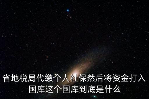 省地稅局代繳個(gè)人社保然后將資金打入國(guó)庫這個(gè)國(guó)庫到底是什么