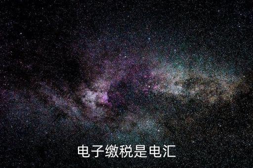電子繳稅是什么，電子繳稅是電匯
