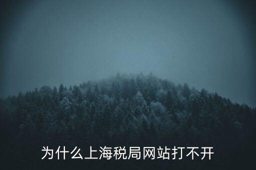 為什么上海稅局網(wǎng)站打不開(kāi)