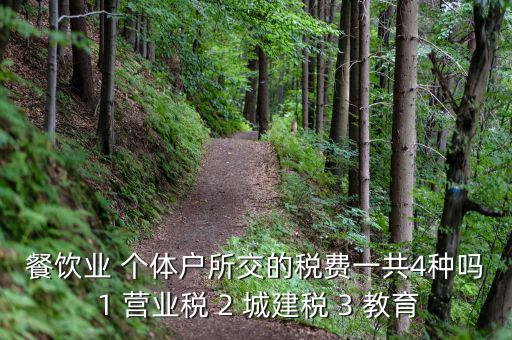 個體餐飲業(yè)交什么稅，餐飲業(yè) 個體戶所交的稅費一共4種嗎 1 營業(yè)稅 2 城建稅 3 教育