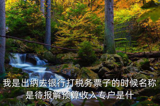 我是出納去銀行打稅務(wù)票子的時(shí)候名稱(chēng)是待報(bào)解預(yù)算收入專(zhuān)戶(hù)是什