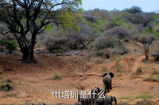 納稅人學堂培訓干什么，去各種培訓班做老師有前途么