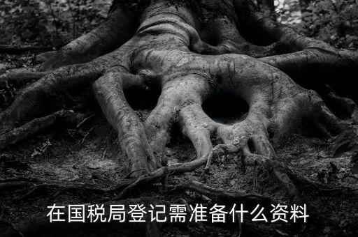 稅務登記備什么，在國稅局登記需準備什么資料