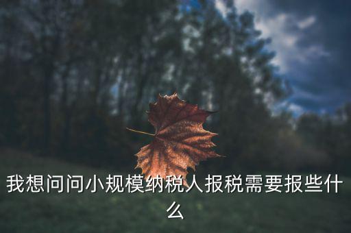 小規(guī)模國(guó)稅申報(bào)些什么，小規(guī)模納稅人國(guó)稅需要報(bào)什么資料