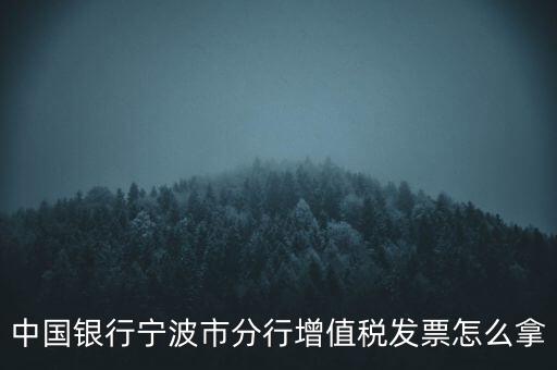 寧波國稅過發(fā)票要帶什么，浙江地區(qū)公司首次拿發(fā)票去國稅局需要帶什么證件