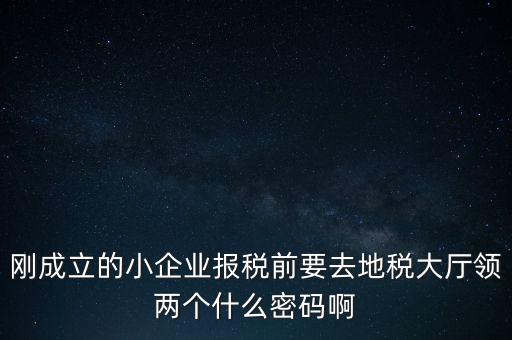 繳稅服務(wù)廳口令輸什么，剛成立的小企業(yè)報(bào)稅前要去地稅大廳領(lǐng)兩個(gè)什么密碼啊