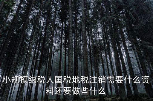 國地稅注銷需要什么，小規(guī)摸納稅人國稅地稅注銷需要什么資料還要做些什么