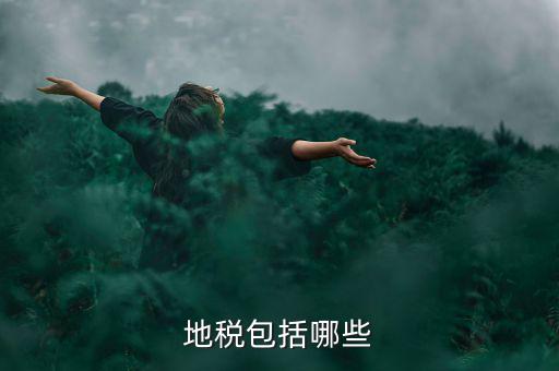 地方稅包括什么稅，地稅包括哪些