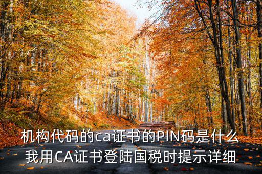 國稅ca證書登錄 密碼是什么，國稅第一次網(wǎng)上申報(bào)的登陸密碼是什么