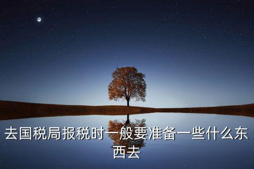 去國(guó)稅局都是帶什么東西，去國(guó)稅定稅要帶哪些東西啊我暈倒了以前從來(lái)沒(méi)定過(guò)