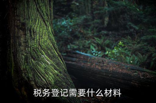 稅務(wù)辦理需要什么東西，辦理稅務(wù)登記證都需要帶什么東西