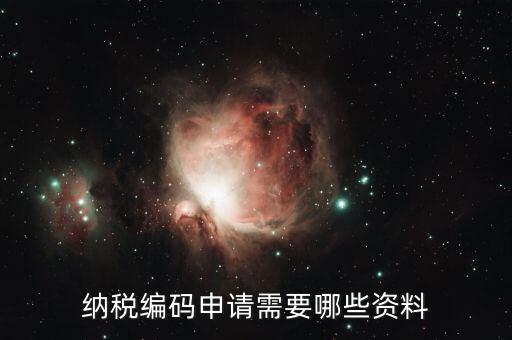 預(yù)約繳稅號需提供什么資料，納稅編碼申請需要哪些資料