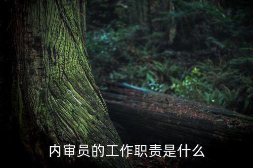 督察內(nèi)審是什么工作，內(nèi)審監(jiān)察主要工作職能