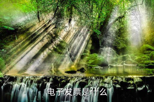 電子發(fā)票單位是什么樣的，什么叫電子發(fā)票
