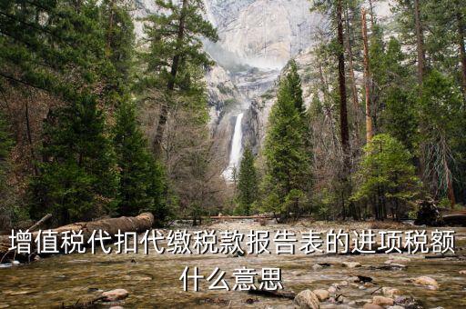 代扣增值稅什么意思，工資條顯走稅代扣項目是什么意思