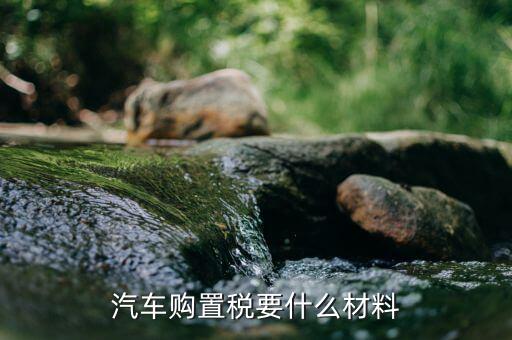 交購(gòu)置稅需要什么資料，汽車購(gòu)置稅要什么材料