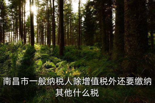 南昌縣國(guó)稅局交什么稅，南昌縣的服裝店國(guó)稅是多少