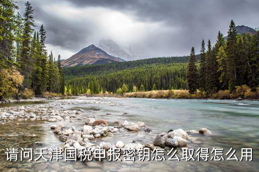 天津手機報稅app密碼是什么意思，請問天津國稅申報密鑰怎么取得怎么用