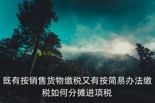 進項稅分攤是什么意思，既有按銷售貨物繳稅又有按簡易辦法繳稅如何分攤進項稅