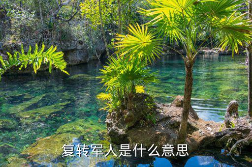 國稅局復(fù)轉(zhuǎn)軍人是什么身份，事業(yè)單位的退伍軍人屬什么身份