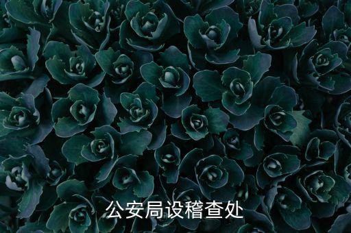 稽查處是什么部門，公安局設(shè)稽查處