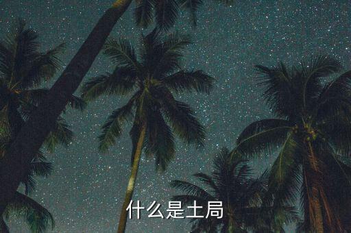 土稅局是什么意思，什么是土局