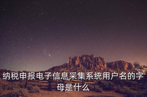 納稅人用戶編號是什么，地稅的用戶名是什么