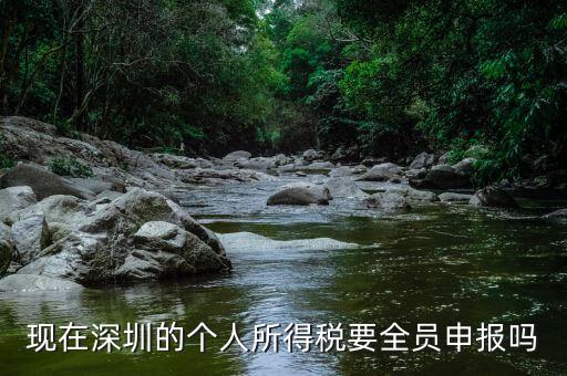 深圳為什么要個(gè)稅申報(bào)，外地企業(yè)如何在深圳為什么還要繳納個(gè)人所得稅1