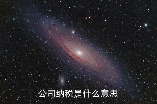 企業(yè)納稅是指什么，企業(yè)交稅是什么意思