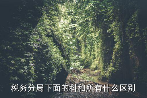 稅局計(jì)統(tǒng)科是什么意思，稅務(wù)分局下面的科和所有什么區(qū)別