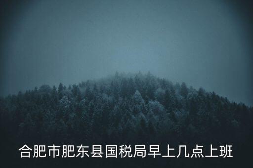 安徽國(guó)稅什么時(shí)候上班時(shí)間，國(guó)稅局的上班時(shí)間