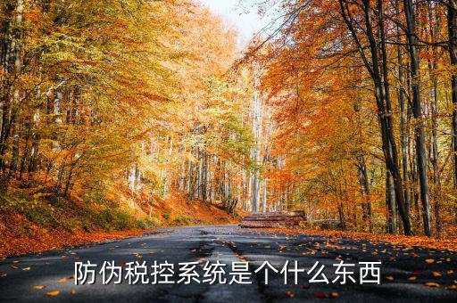 防偽稅控一體化什么時(shí)候，營改增后漢字防偽企業(yè)抄報(bào)稅時(shí)需要使用什么設(shè)備