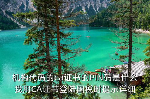 機構(gòu)代碼的ca證書的PIN碼是什么我用CA證書登陸國稅時提示詳細(xì)