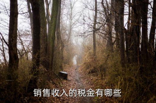 銷售交什么稅，銷售收入的稅金有哪些