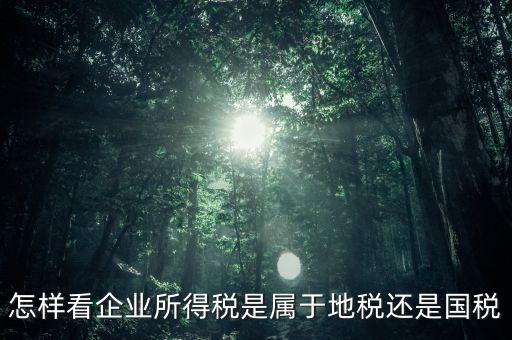 所得稅屬于什么稅，所得稅包括什么稅